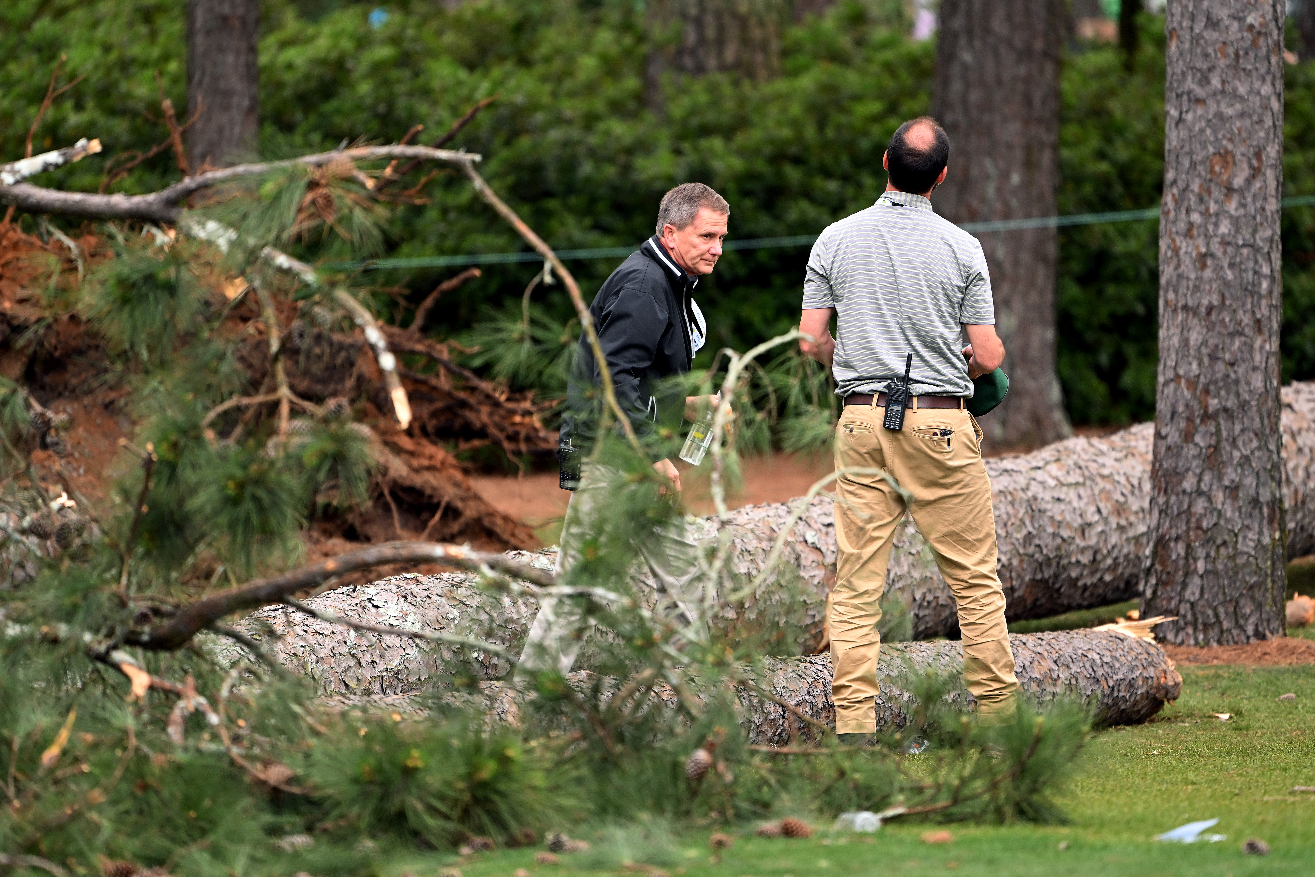 Masters 2023: Scary scene unfolds as trees collapse near patrons at Augusta  National; play suspended for Friday, Golf News and Tour Information