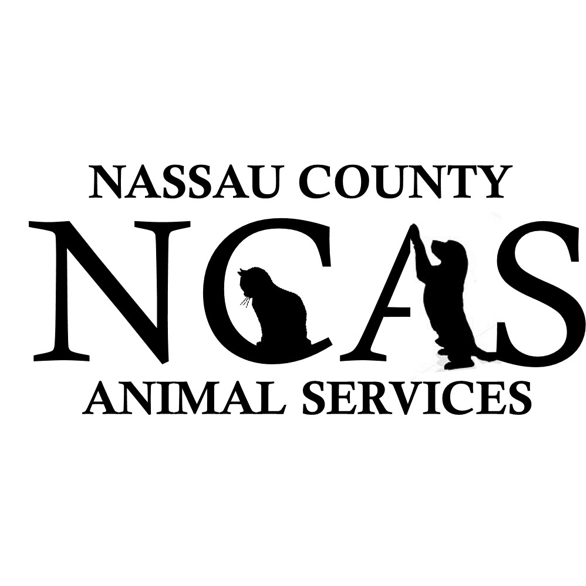 Nassau County Animal Control : 15 Dogs Arrive At Nassau Humane Society