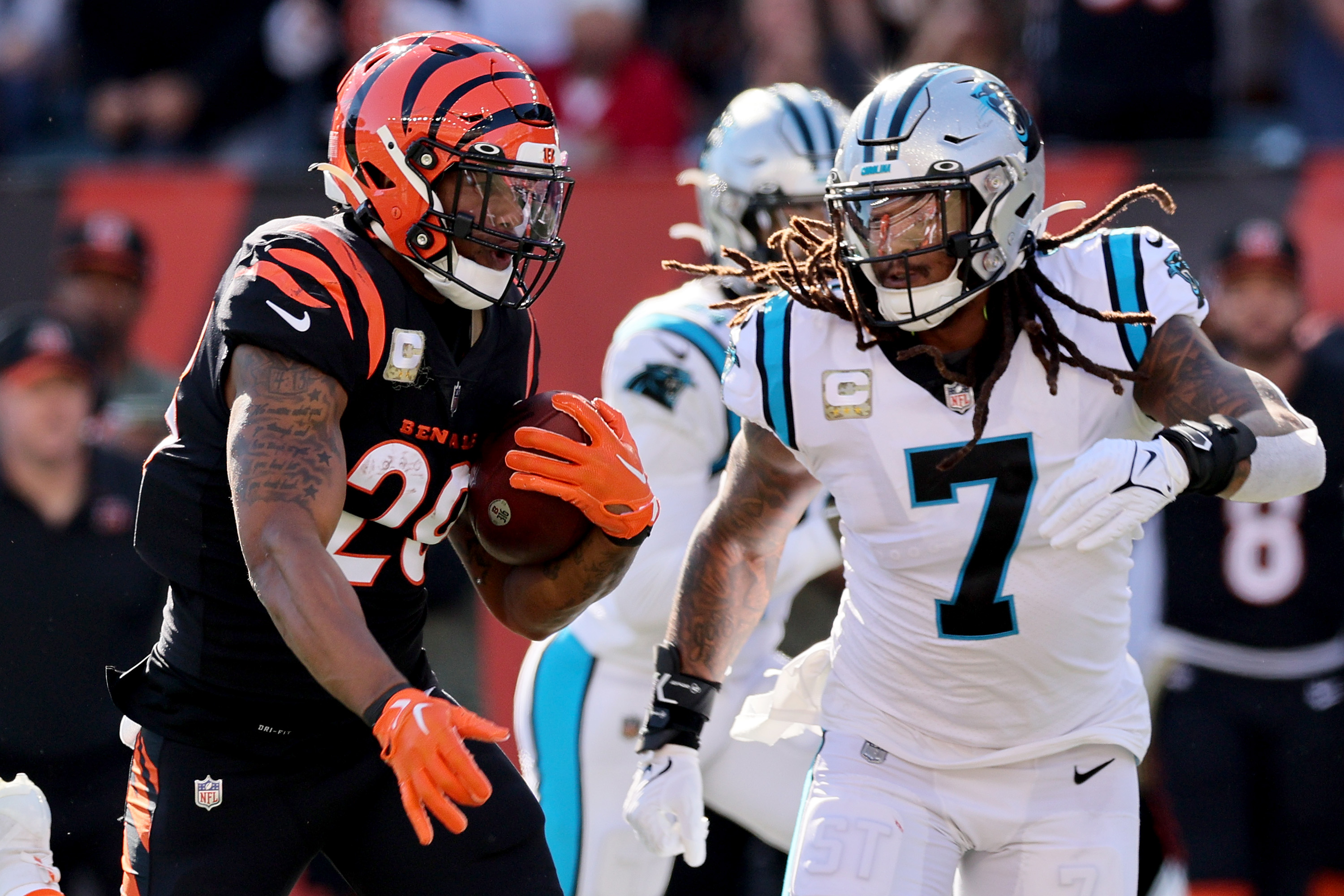 Panthers vs. Bengals Through the Years