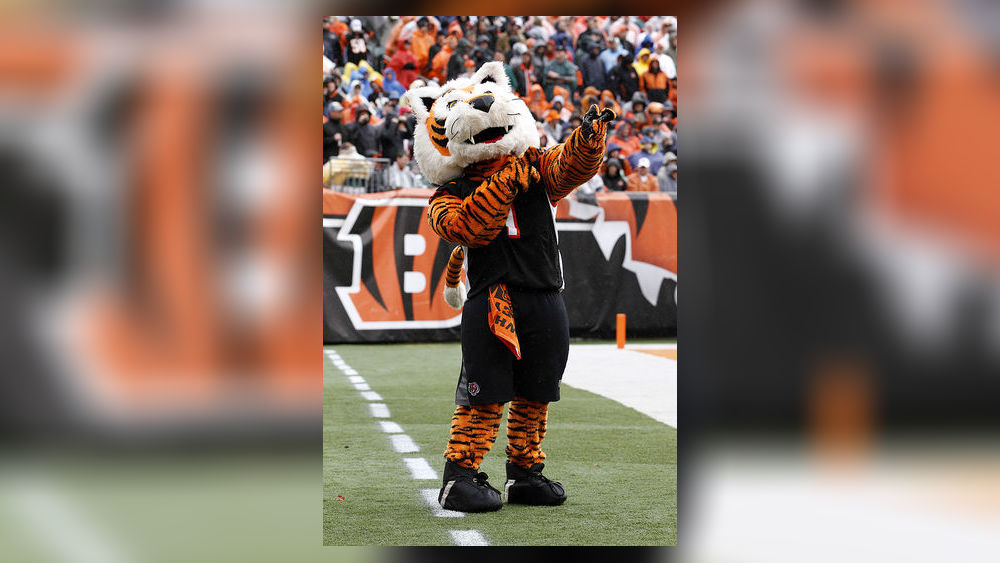 Dayton-area Bengals fans: 'Whole communities coming together over this team'