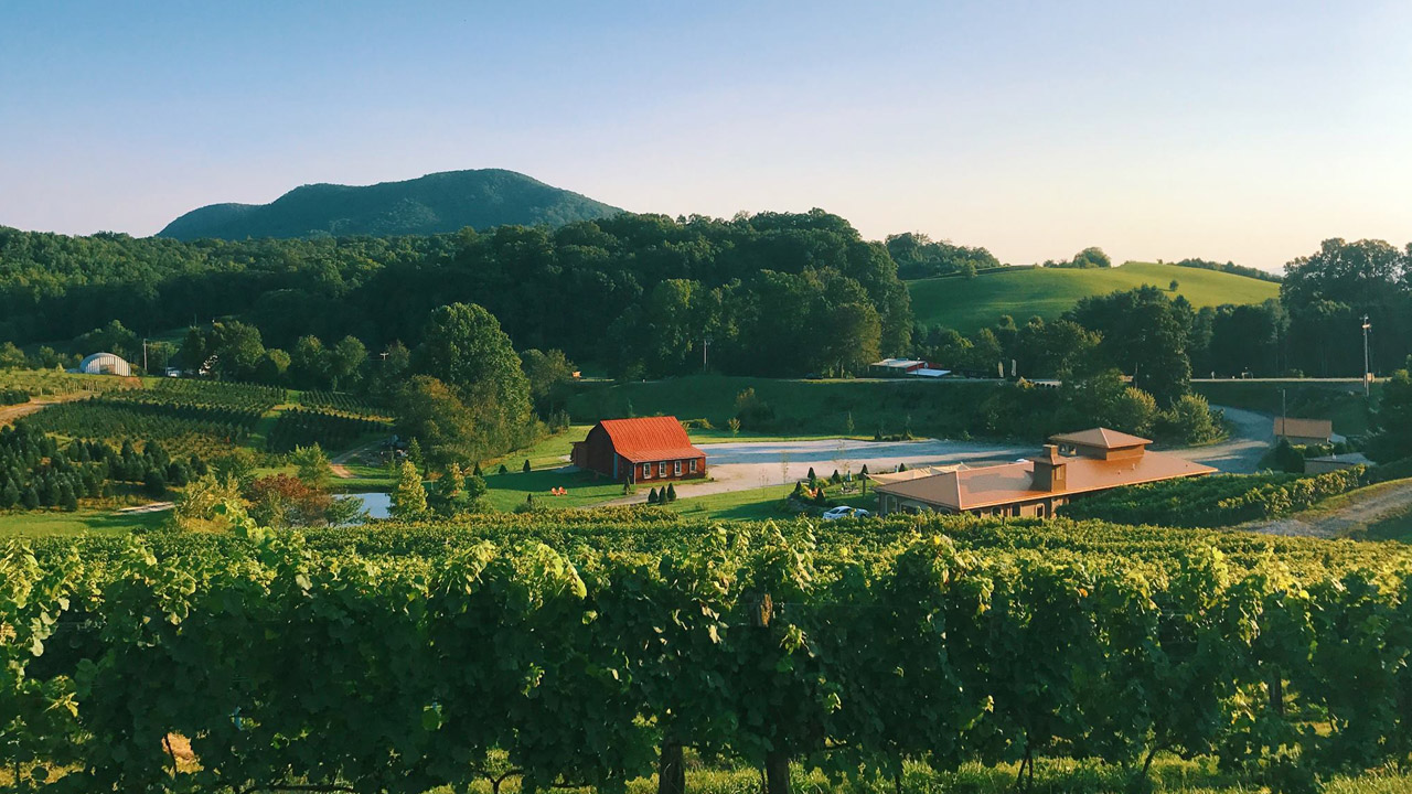 10 North Carolina vineyards with spectacular views WSOC TV