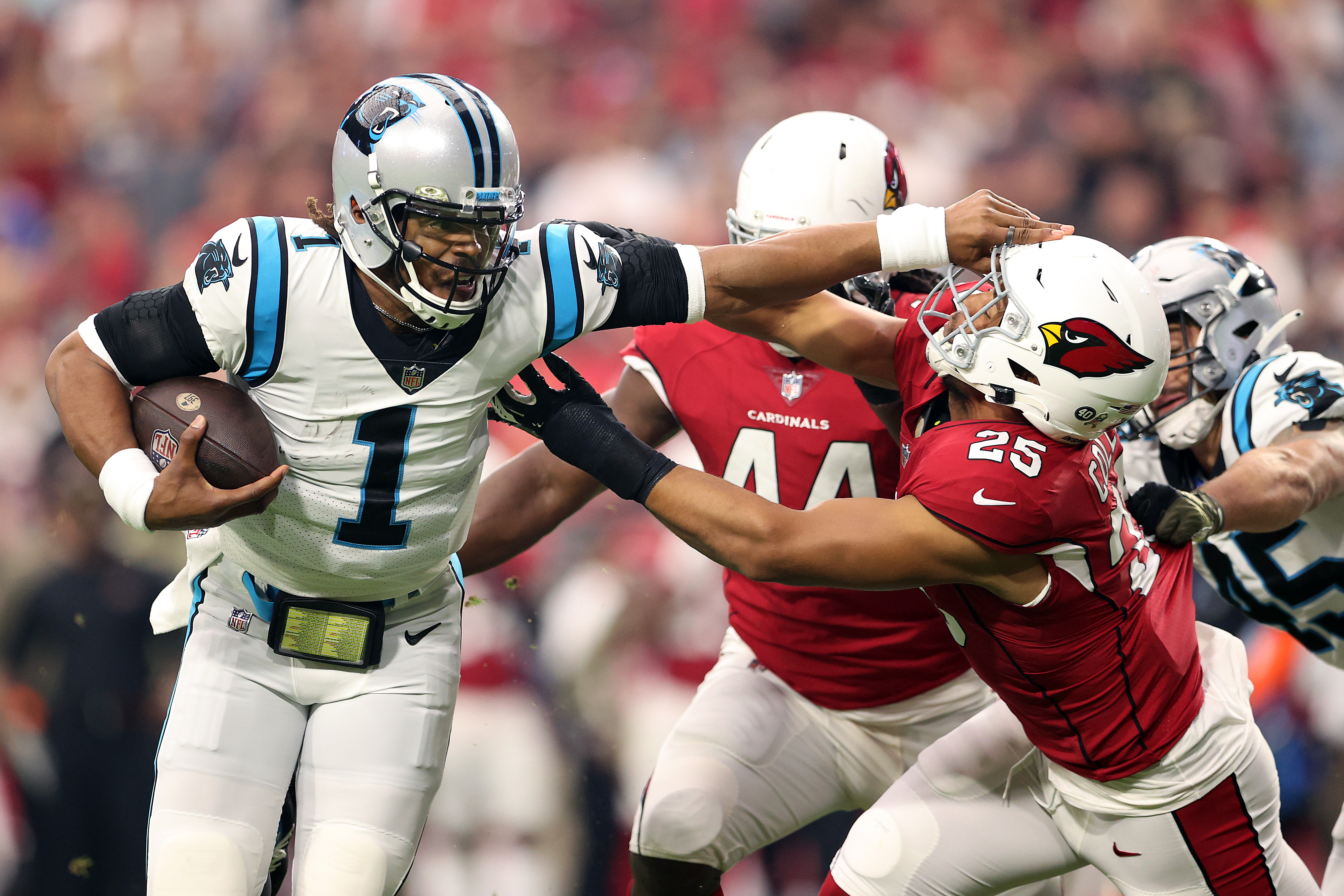 Superman's sequel: Newton leads Panthers over Cards 34-10