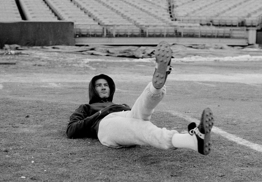 Hall of Fame receiver Don Maynard dead at age 86 - The Boston Globe