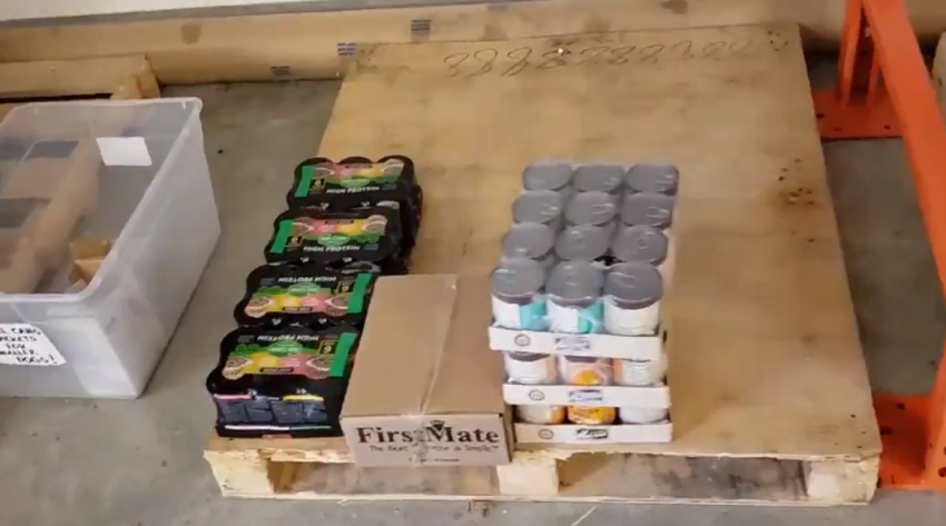 Seattle Humane Society in need of pet food donations – KIRO 7 News Seattle