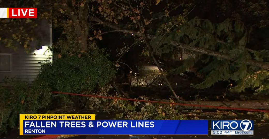 Downed Trees And Possible Power Outages With The Next Weather System - WRWH