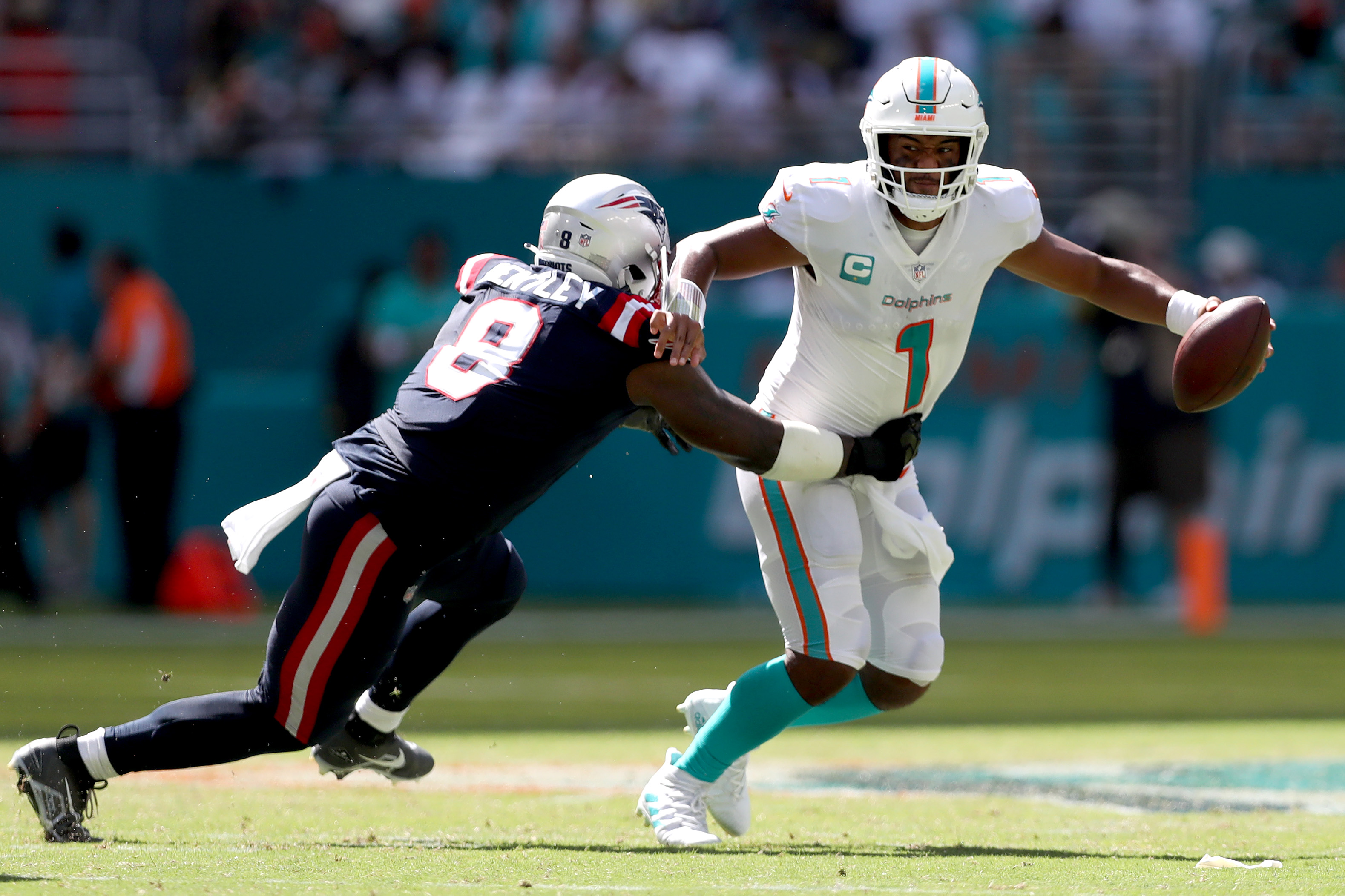 Flawed Patriots Wisely Let Dolphins Self-Destruct To Close In on Playoff  Berth