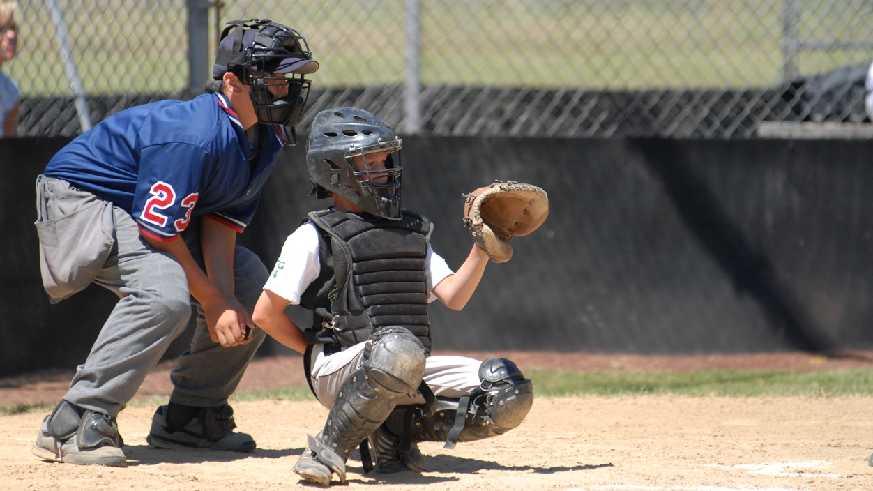 Baseball: Little League umpires love the call 