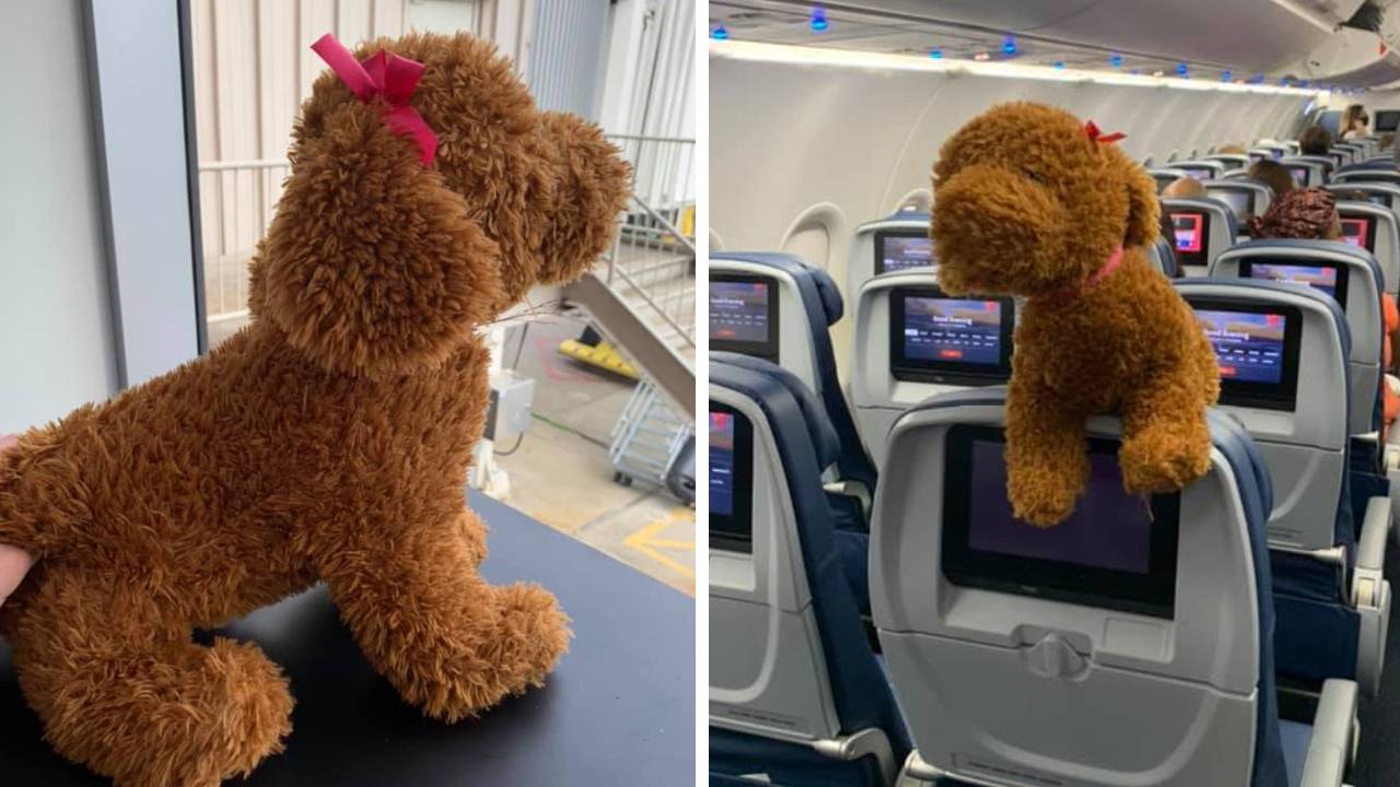 Woman shares lost stuffed animal’s adventure on social media while