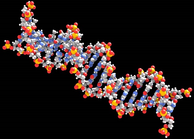 New study shows that DNA could determine when you first have sex – WDBO