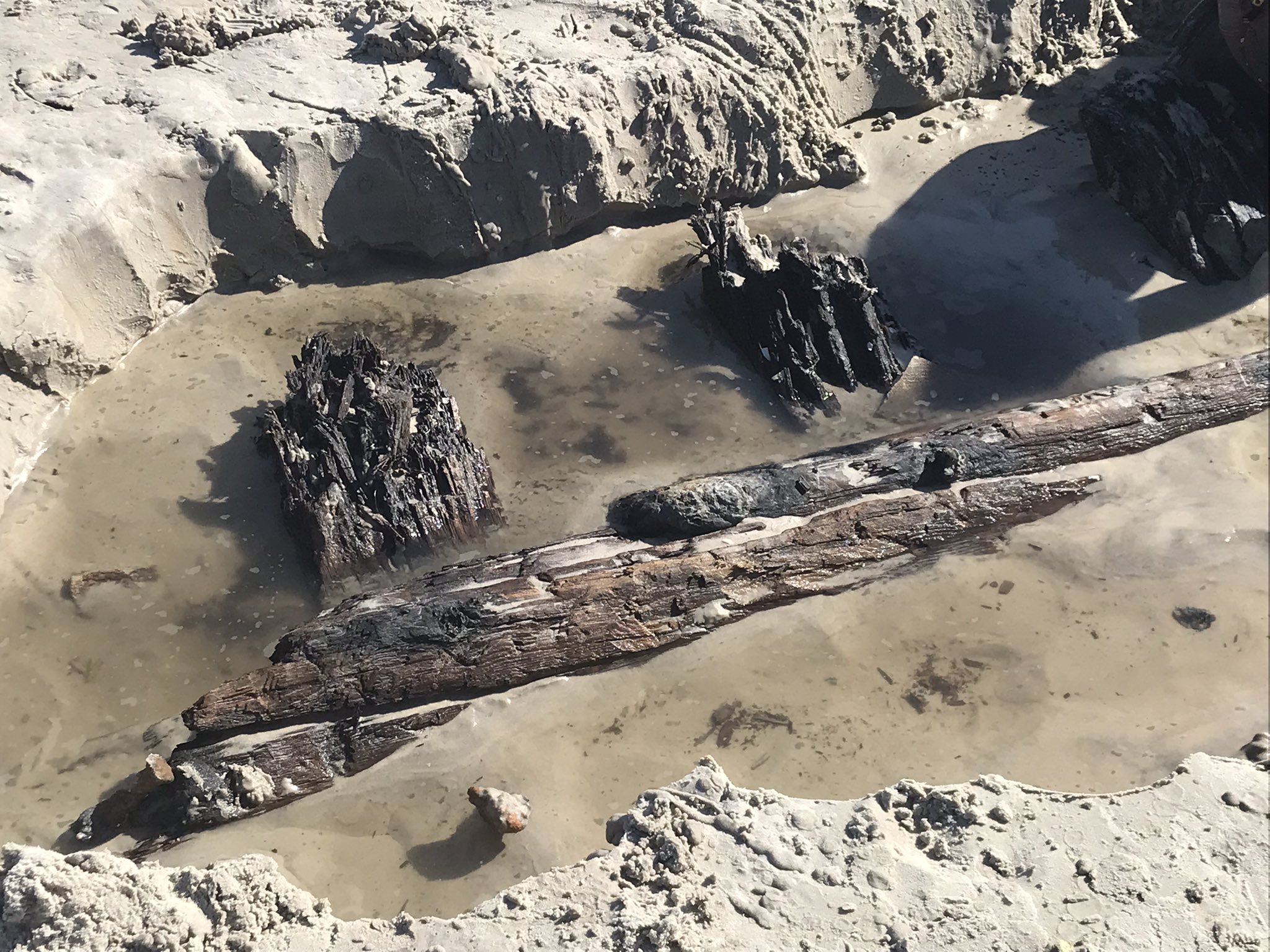 Photos: Archeologists examine mysterious structure on Florida beach – KIRO  7 News Seattle