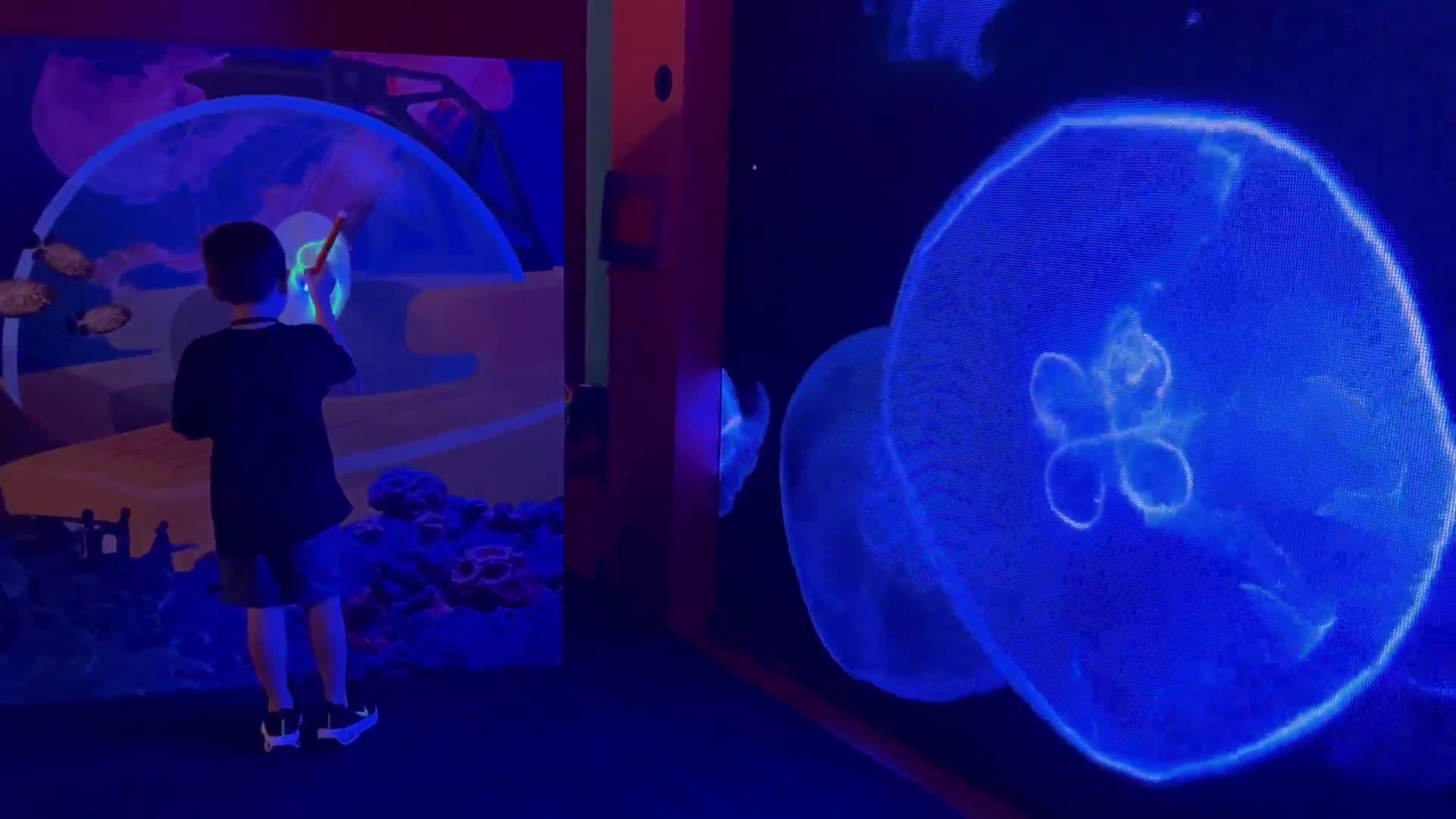 くるくるミラクルマリン Ocean Discovery クリア　スケルトン Crayola Experience Orlando ocean attraction - WFTV