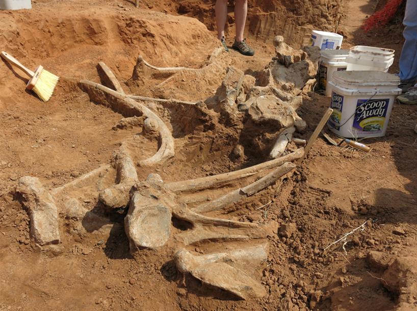 Mammoth fossils found in western Oklahoma 102.3 KRMG