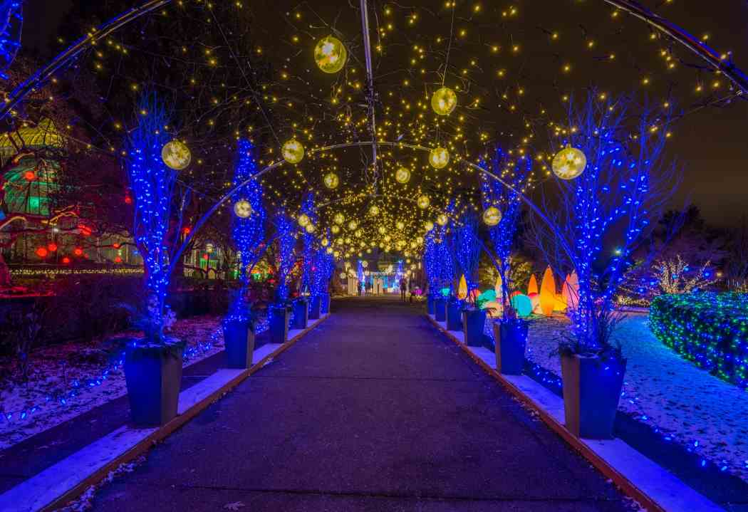 Phipps Christmas 2026