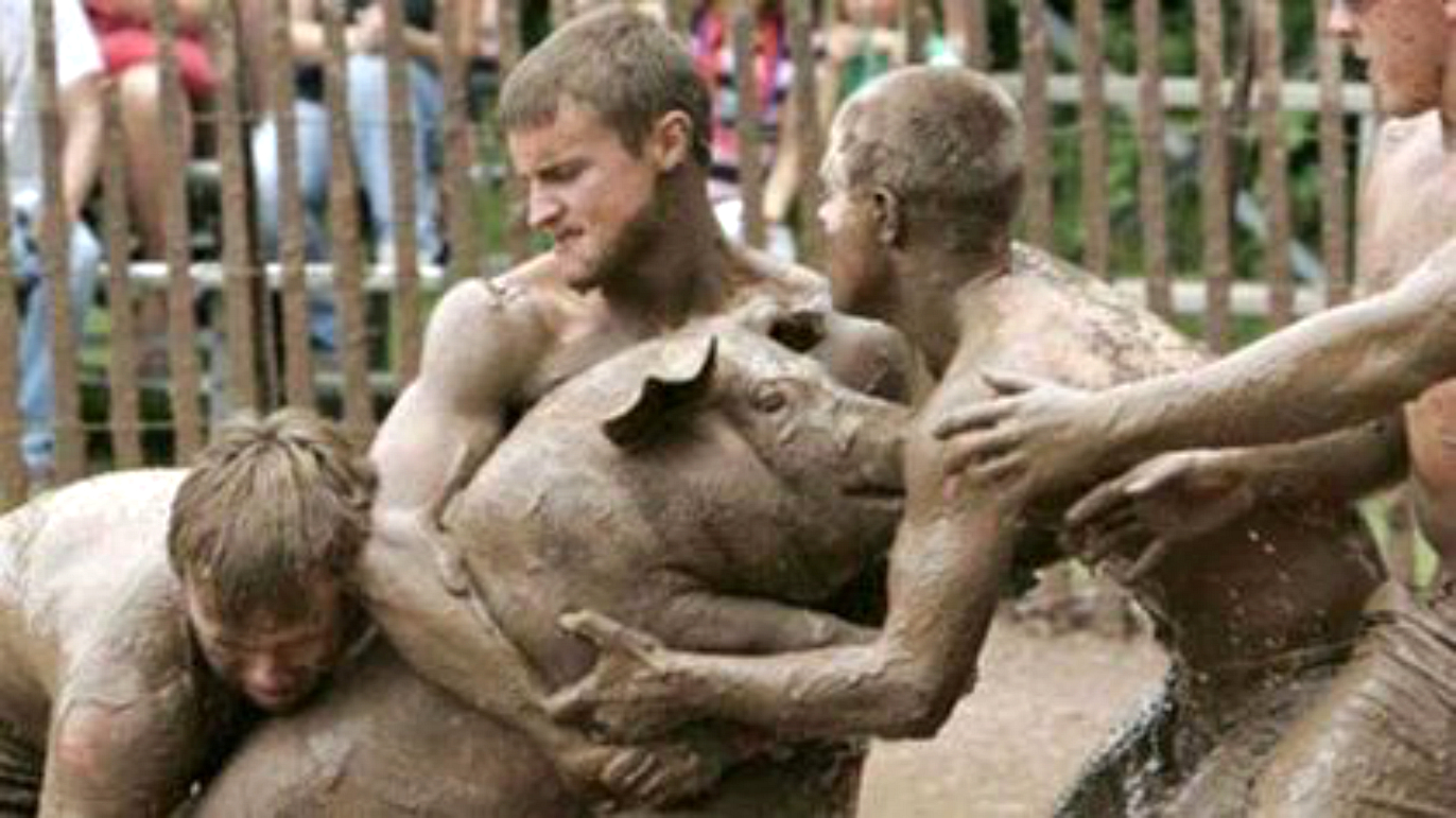 Animal activists lead church to end pig wrestling fundraiser – 102.3 KRMG