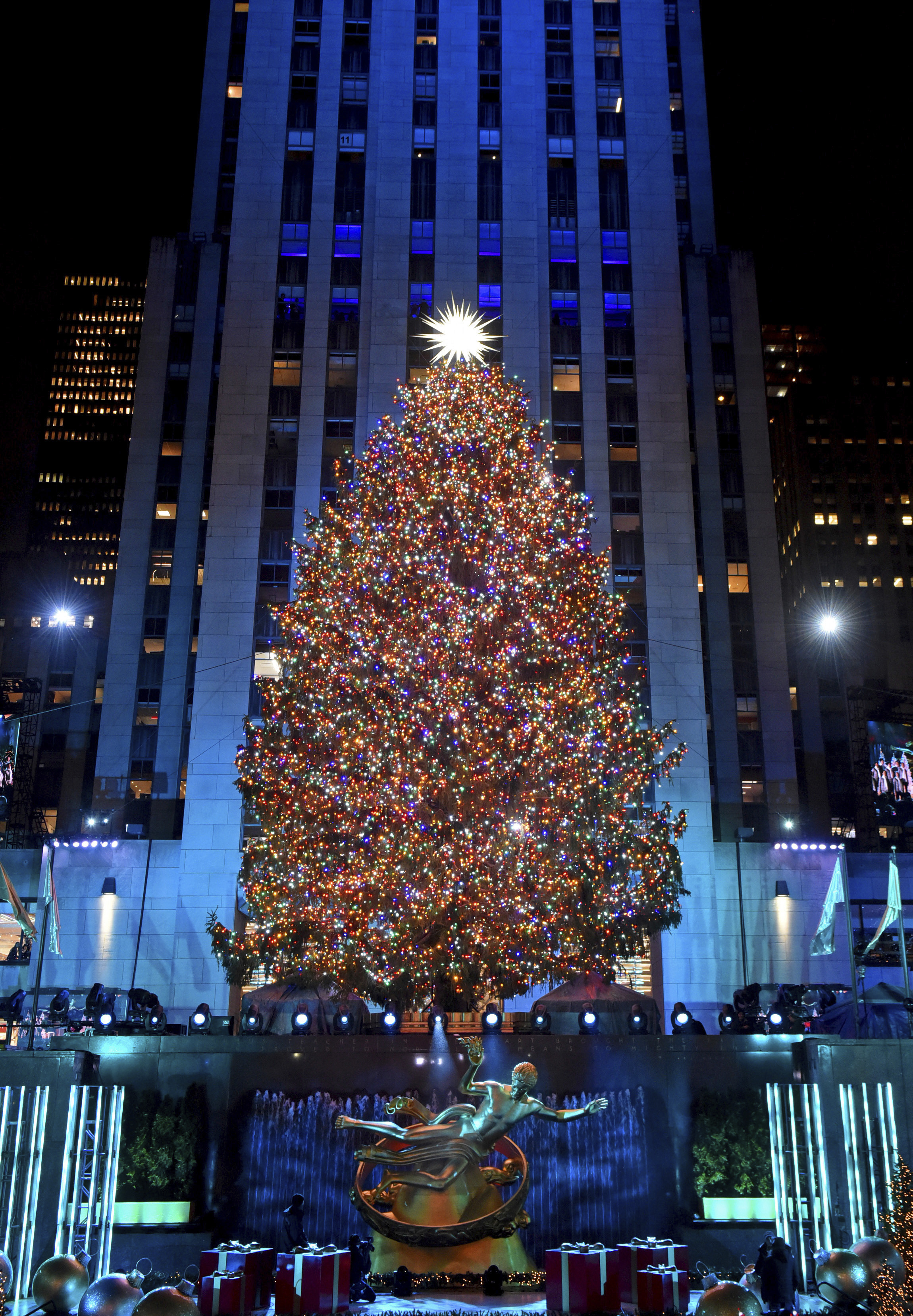 The 2019 Rockefeller Christmas tree is from Florida! – WDBO