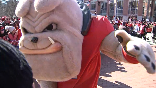 Uga XI officially takes over duties as next UGA mascot – WSB-TV Channel 2 -  Atlanta