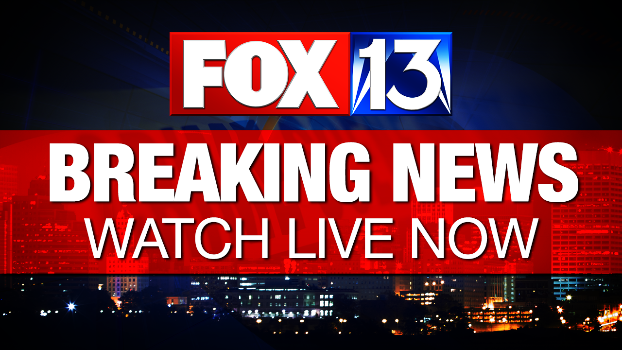 Fox Breaking News Logo Fox Breaking News Logo