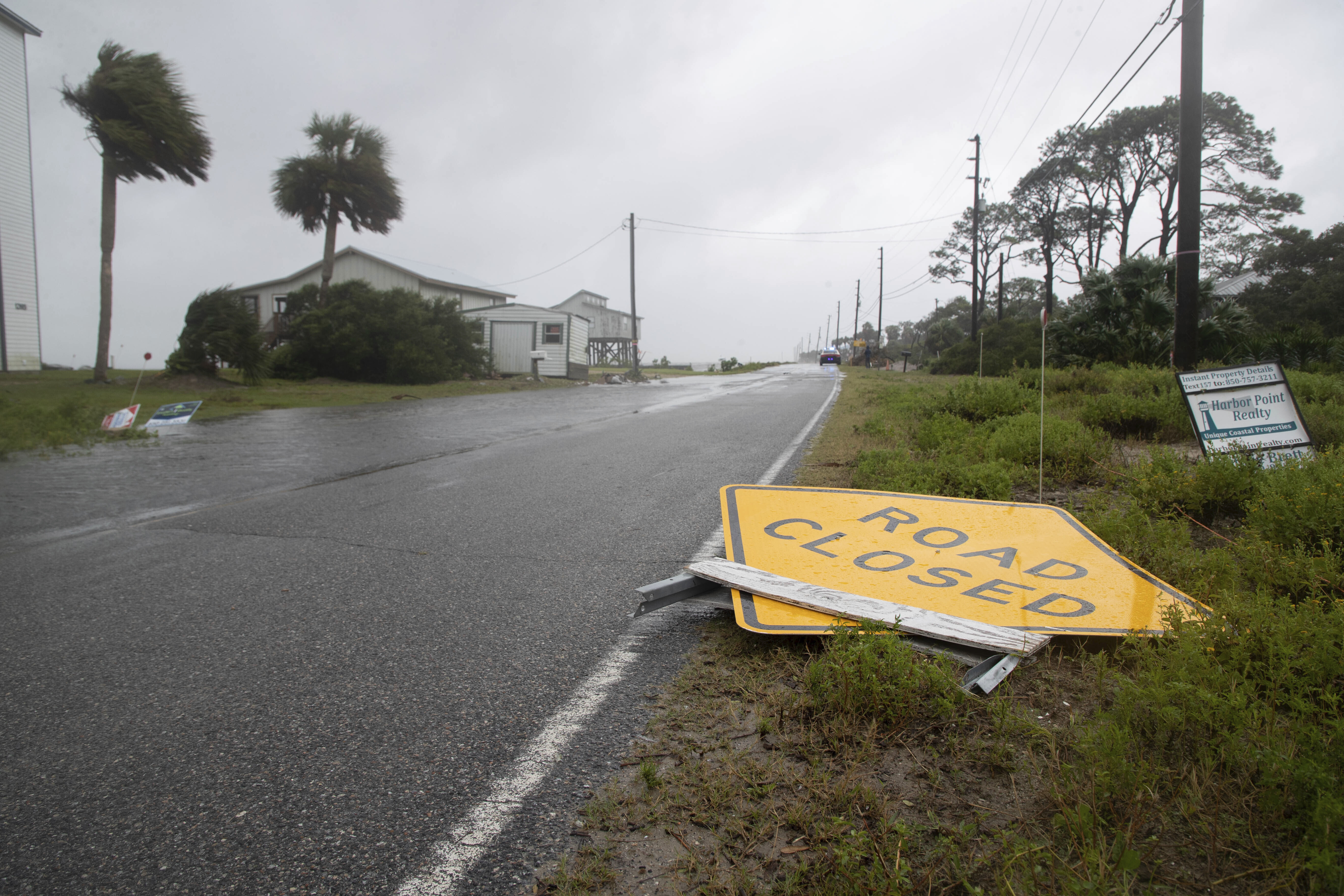 Hurricane' Fred welcome in Blue Jay land