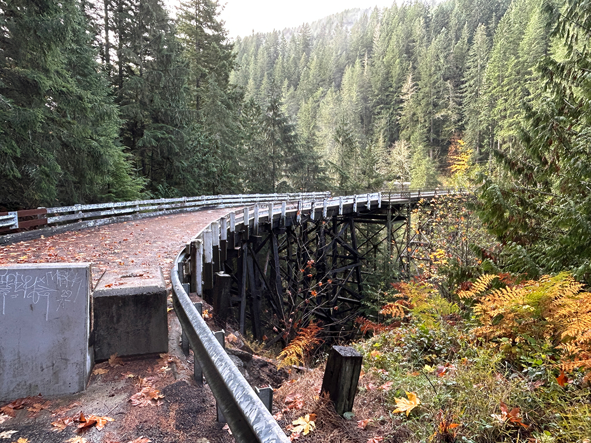 Here is what's next for the future of the Fairfax Bridge – KIRO 7