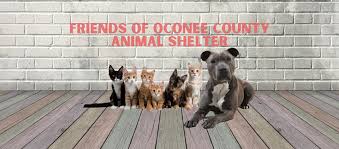 oconee animal shelter lost and found