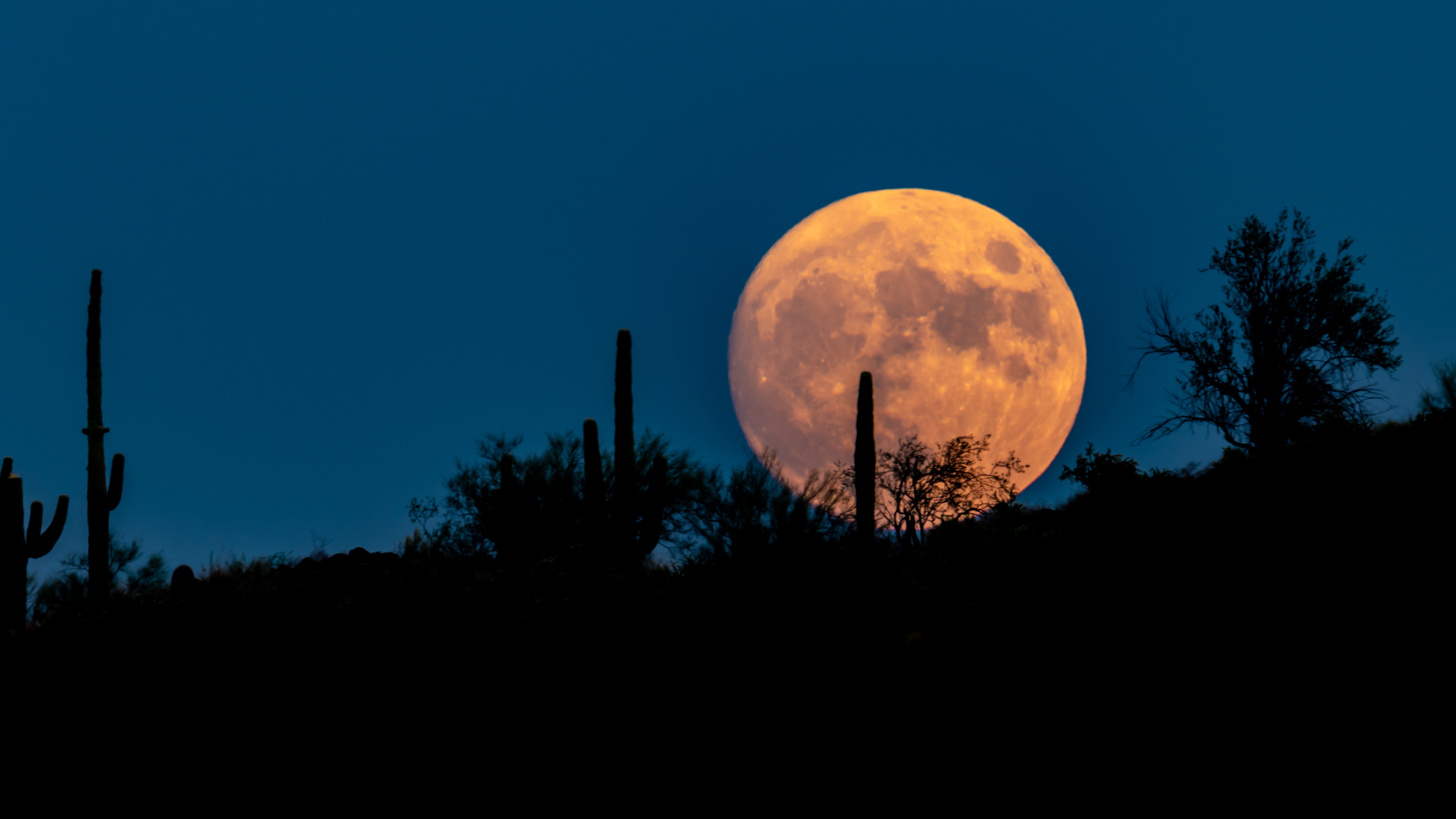 Harvest Moon: Full moon, supermoon and lunar eclipse in one