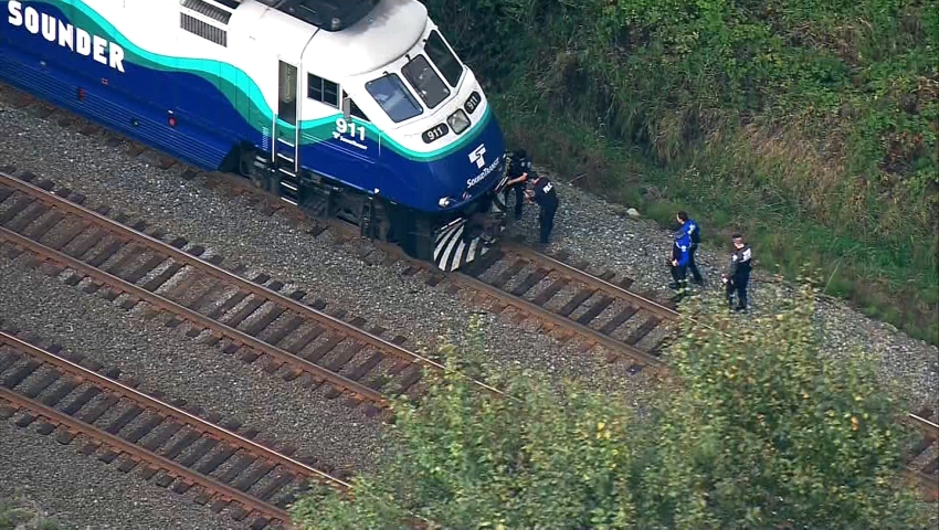 are dogs allowed on sounder trains