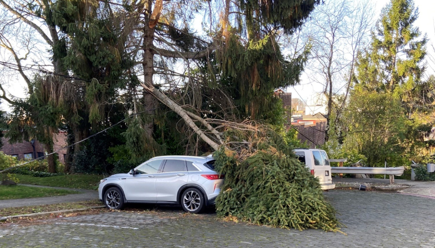 Downed Trees And Possible Power Outages With The Next Weather System - WRWH