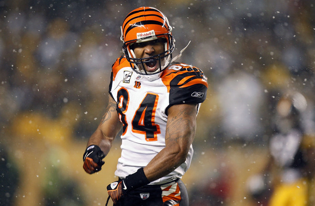 Our Week 9 Ruler of The Jungle: Chad - Cincinnati Bengals