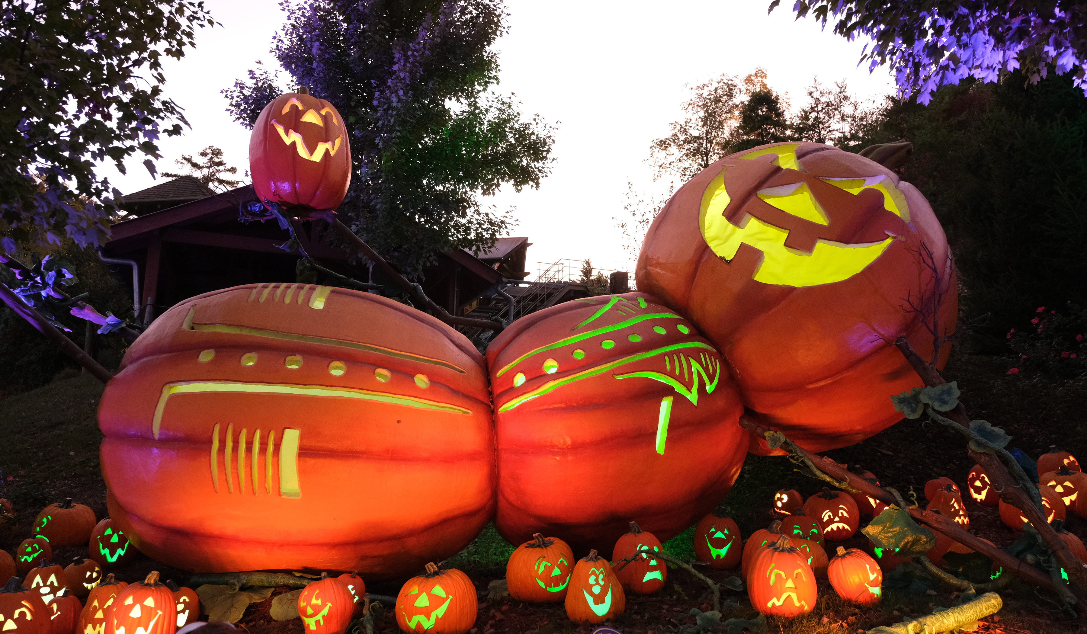 See colossal pumpkins at Dollywood's Harvest Festival – WSB-TV