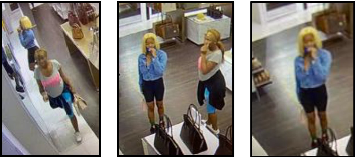 Deputies searching for suspects who took Michael Kors handbags from St.  Augustine outlet store – Action News Jax