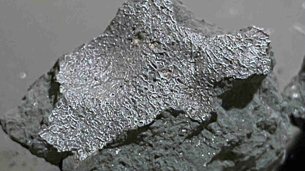 NASA finds extraterrestrial amino acids in rock that crashed in