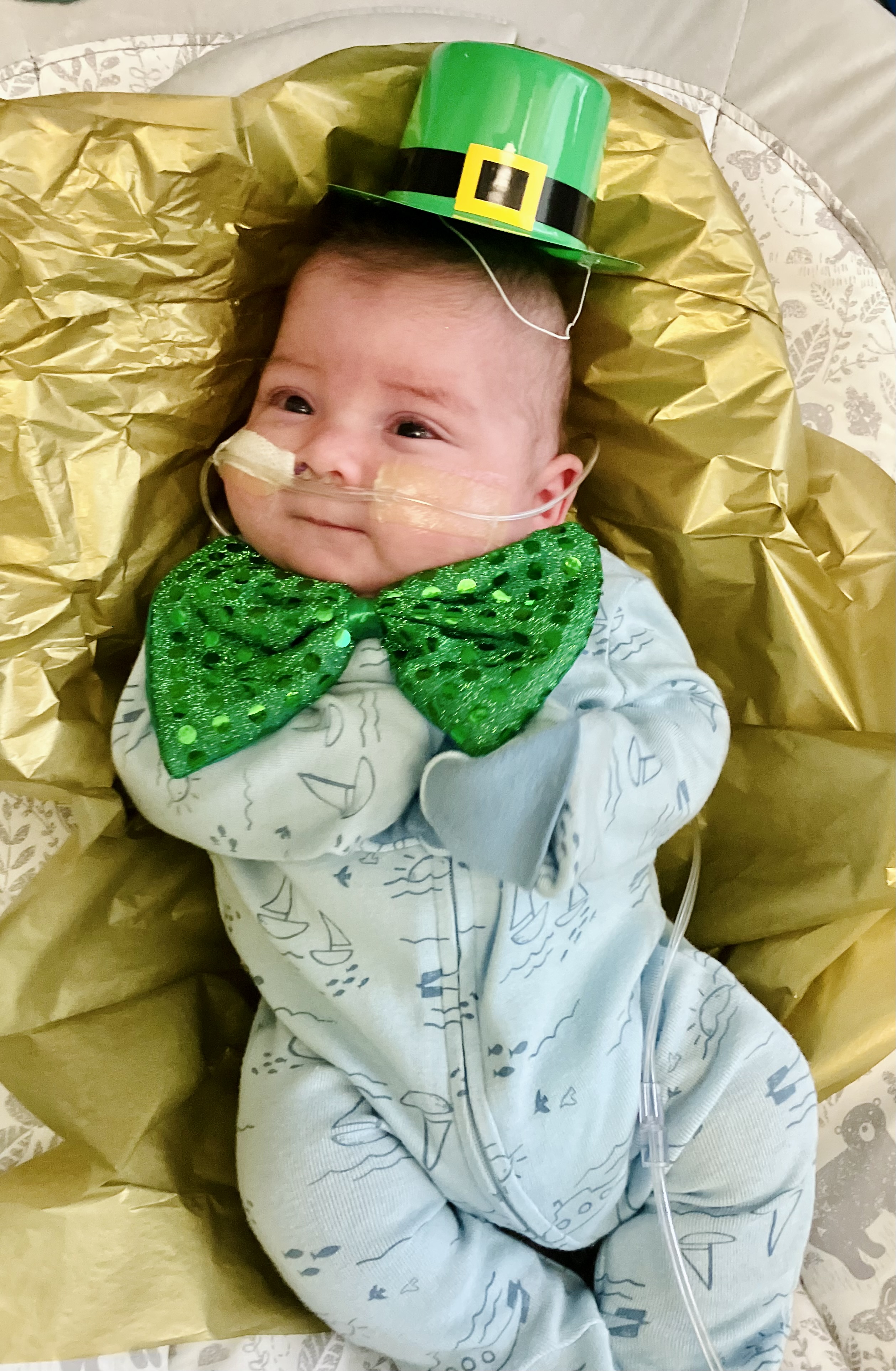 Baby's First St. Patrick's Day - (baby's First Holidays) By Dk