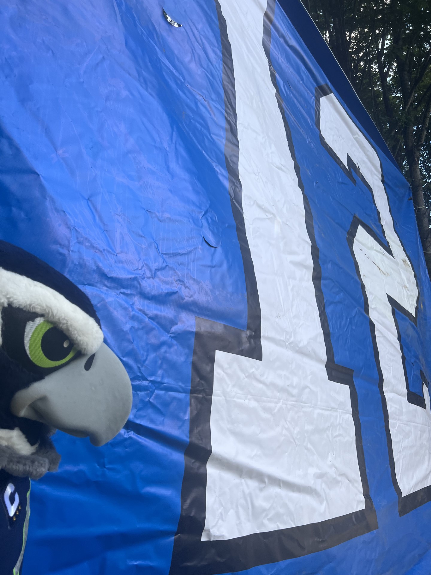 The story behind the massive 12th Man flag along I-90 near Issaquah – KIRO  7 News Seattle