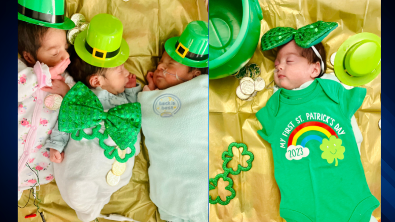 Baby's First St. Patrick's Day (Baby's First Holidays): DK