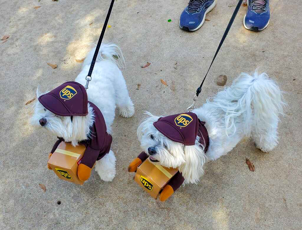 Howl-O-weenie Costume Contest — Off Leash Milwaukee