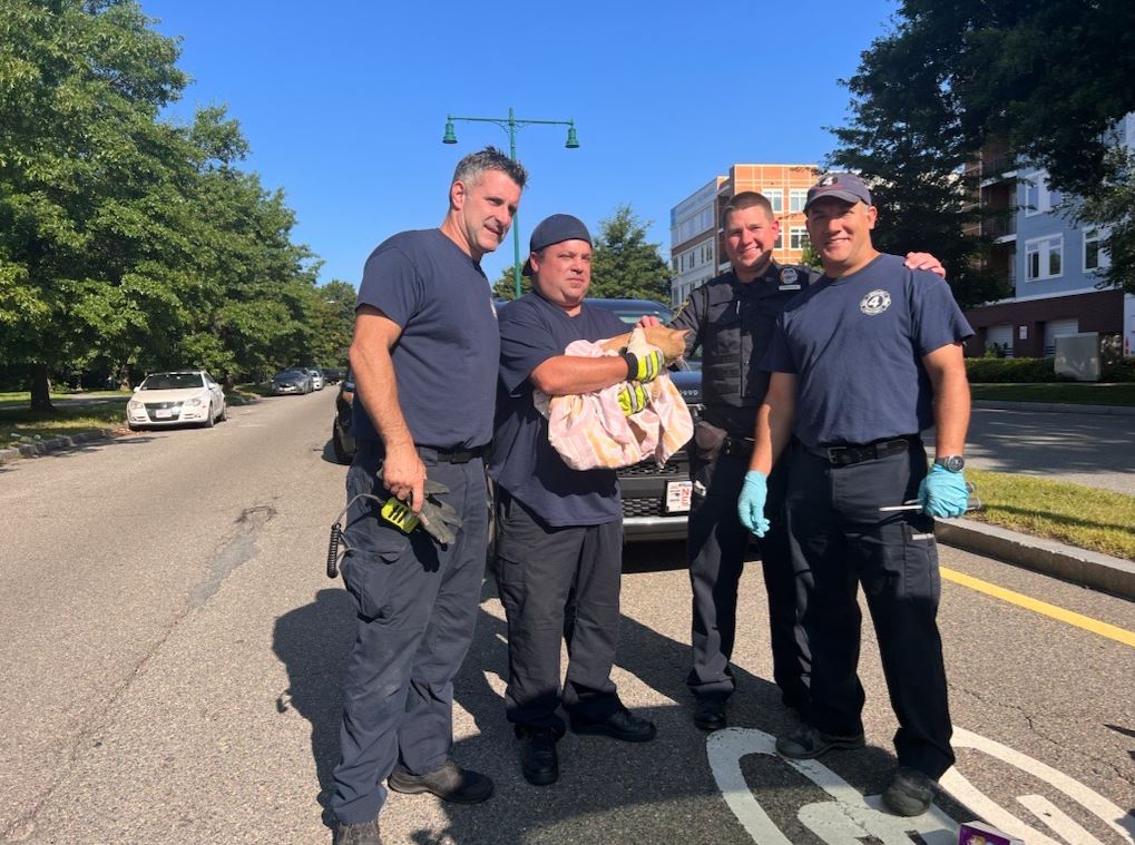 Clarksville Police Rescue Cat Stuck Under Vehicle – Town of Clarksville