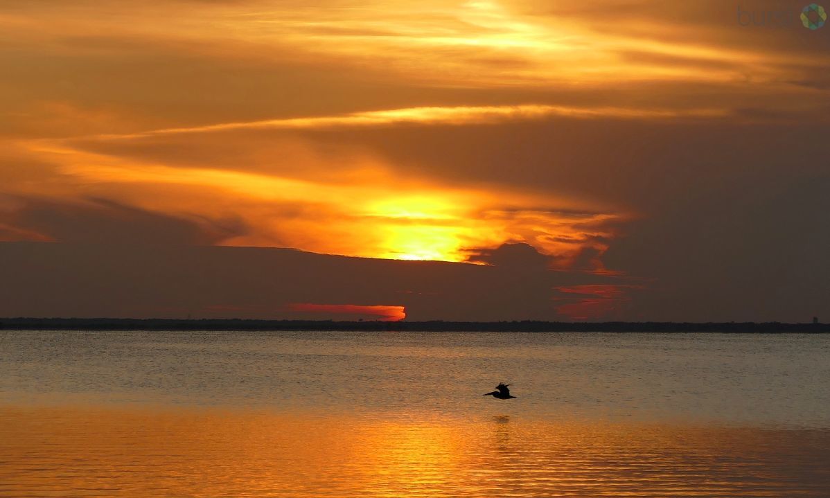 Have you seen the haze? Saharan Dust arrives in Central Florida