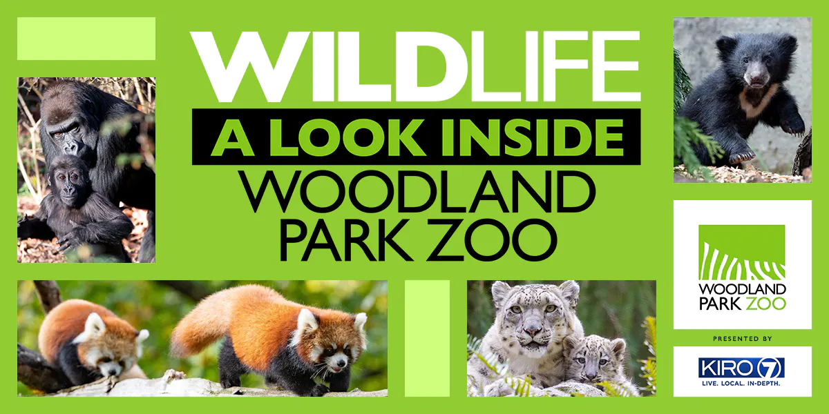 Woodland Park Zoo – KIRO 7 News Seattle
