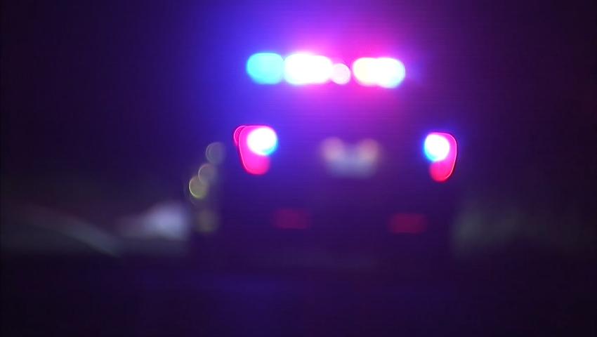 Seattle driver arrested after hitting 5 cars, driving through front doors of business – KIRO 7 News Seattle