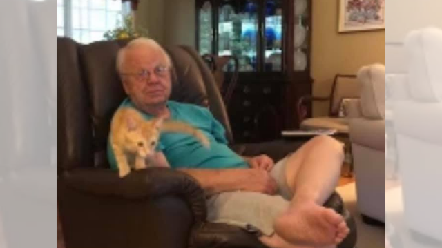 Dogs Cats Missing After Aspca Van Crashes On Nc Interstate 95 5 Wsb