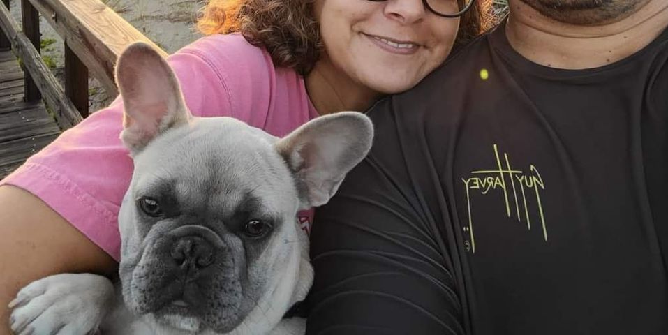 French bulldog stolen at gunpoint in Orlando