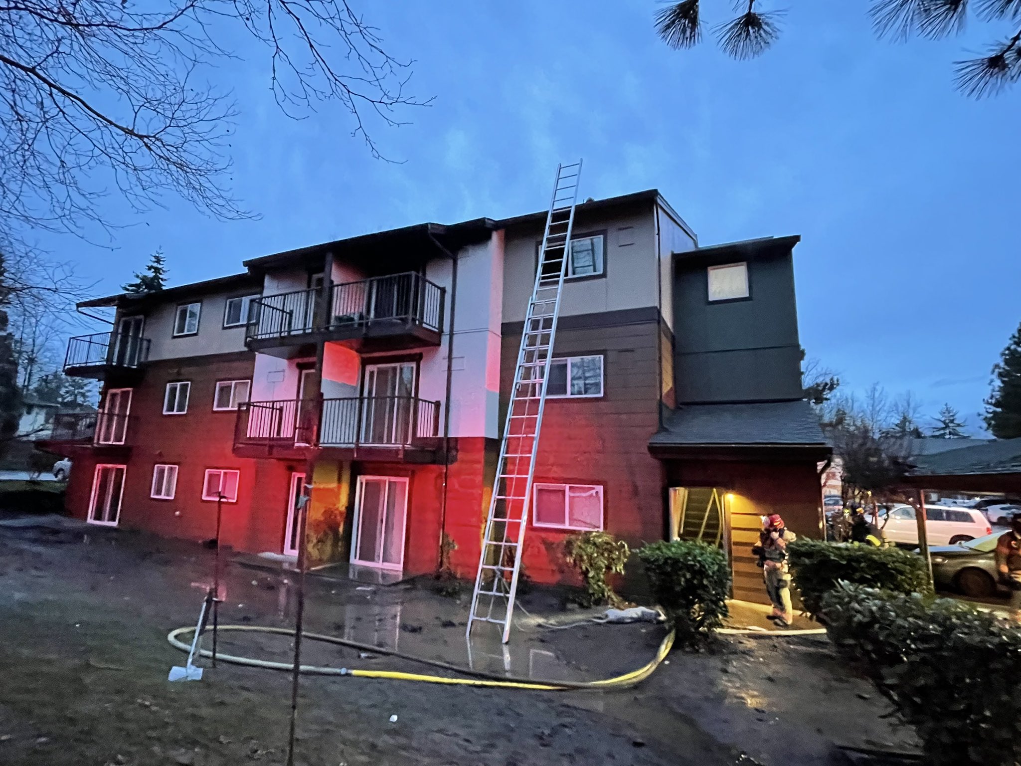 One person hospitalized dog killed in Kent apartment fire KIRO