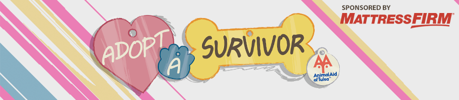 Adopt a Survivor - sponsored by Mattress Firm
