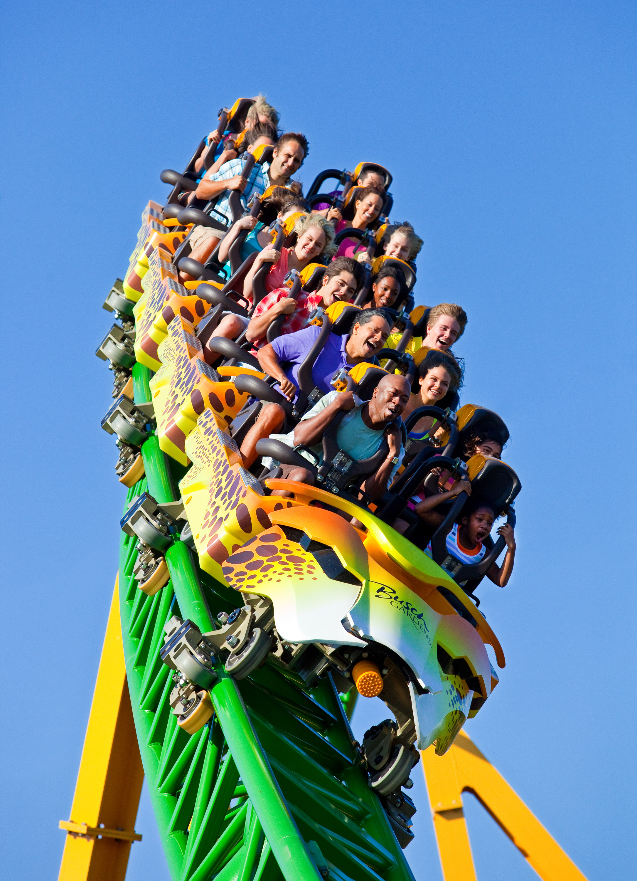 World s tallest and fastest ride of its kind opens at Busch