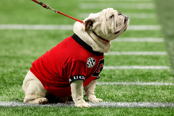 College coaches vote Georgia Bulldogs No. 1 to start the season - UGASports