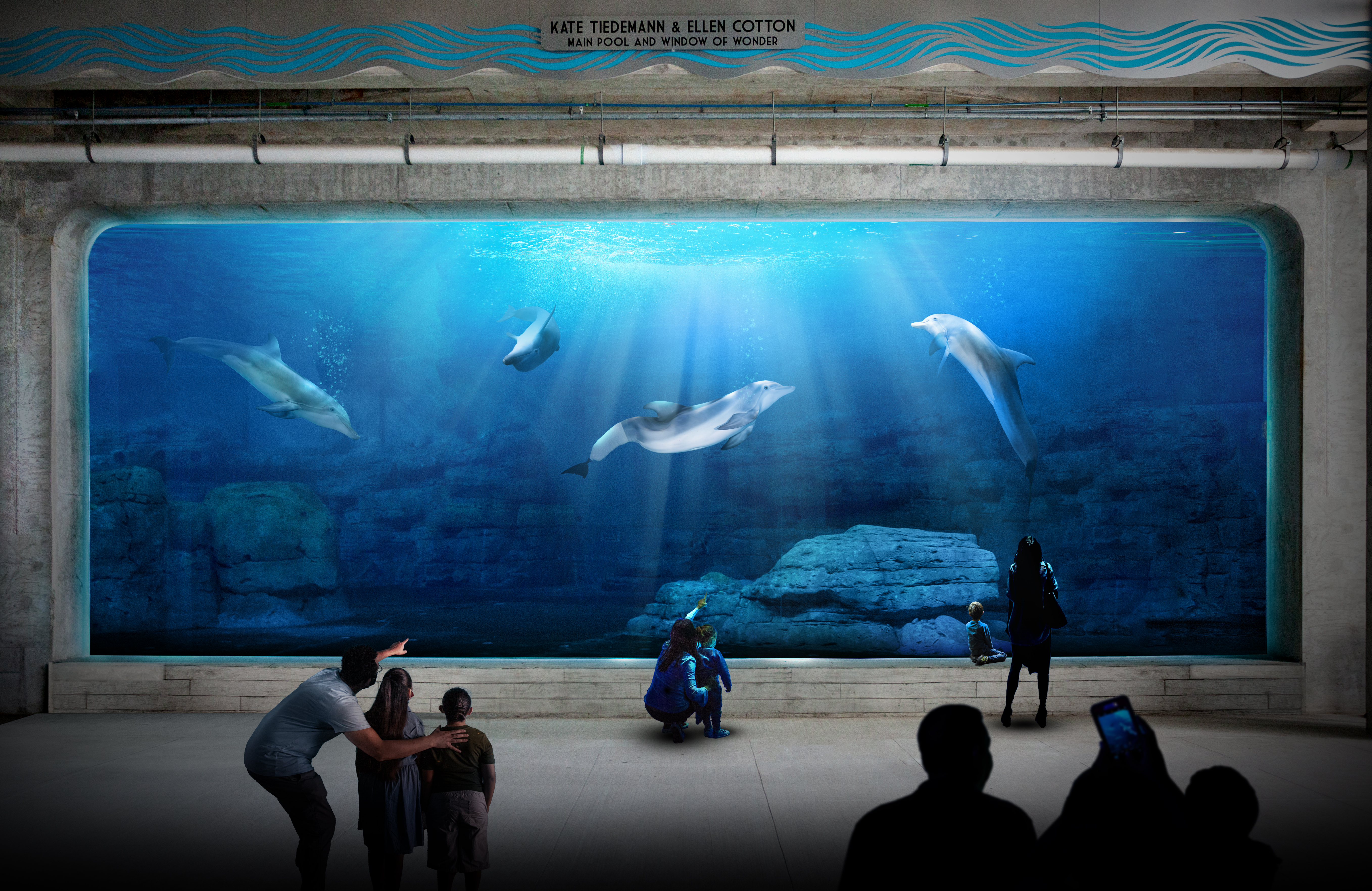 Clearwater Marine Aquarium