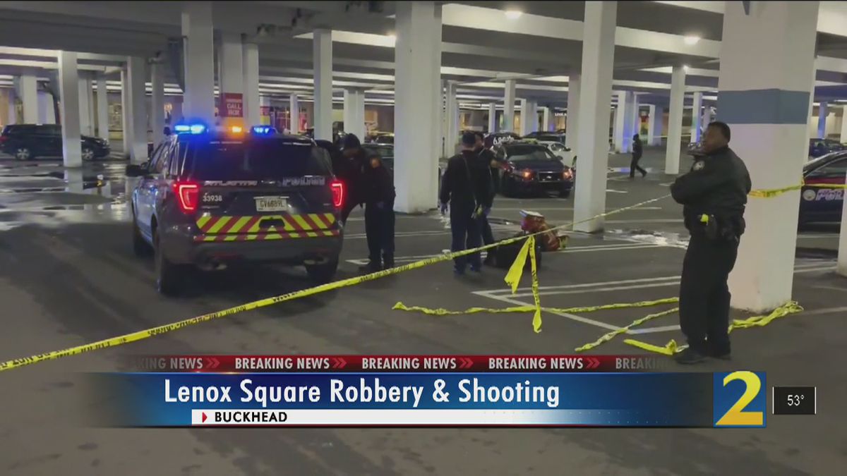 Lenox Square Mall shooting, Scene video