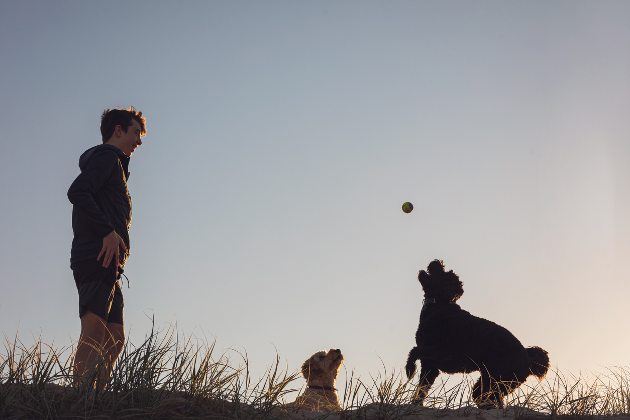 Must see reunion 10yearold boy reunites with his missing dog WSB