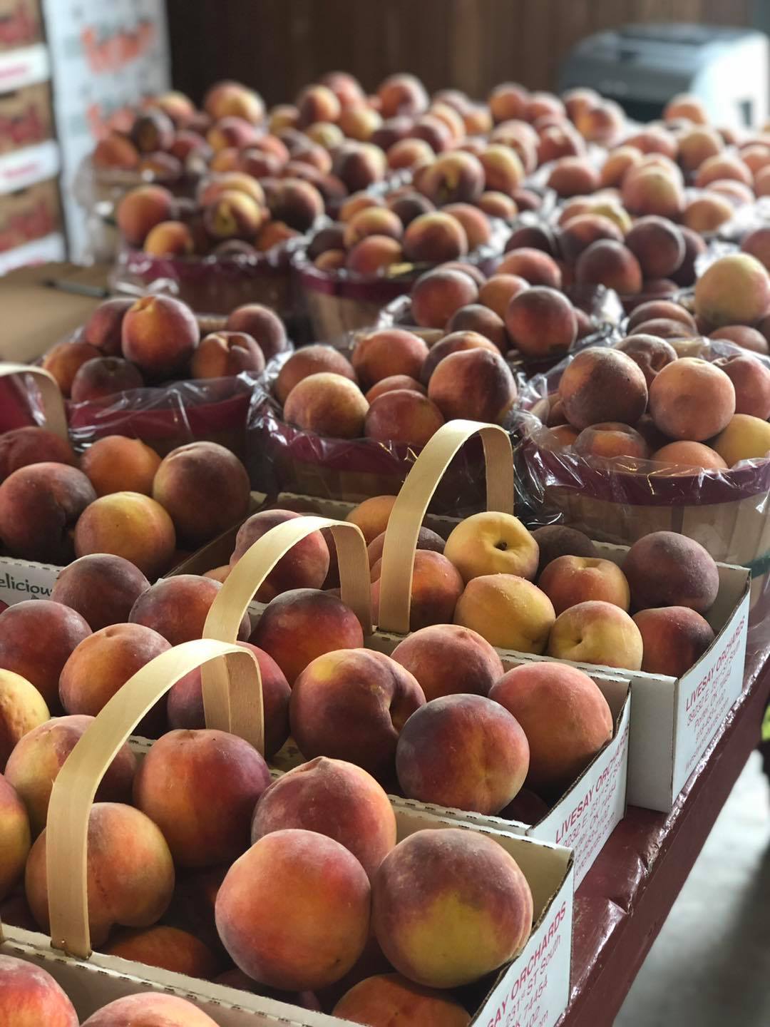 Businesses gearing up for Porter Peach Festival after pandemic cancels
