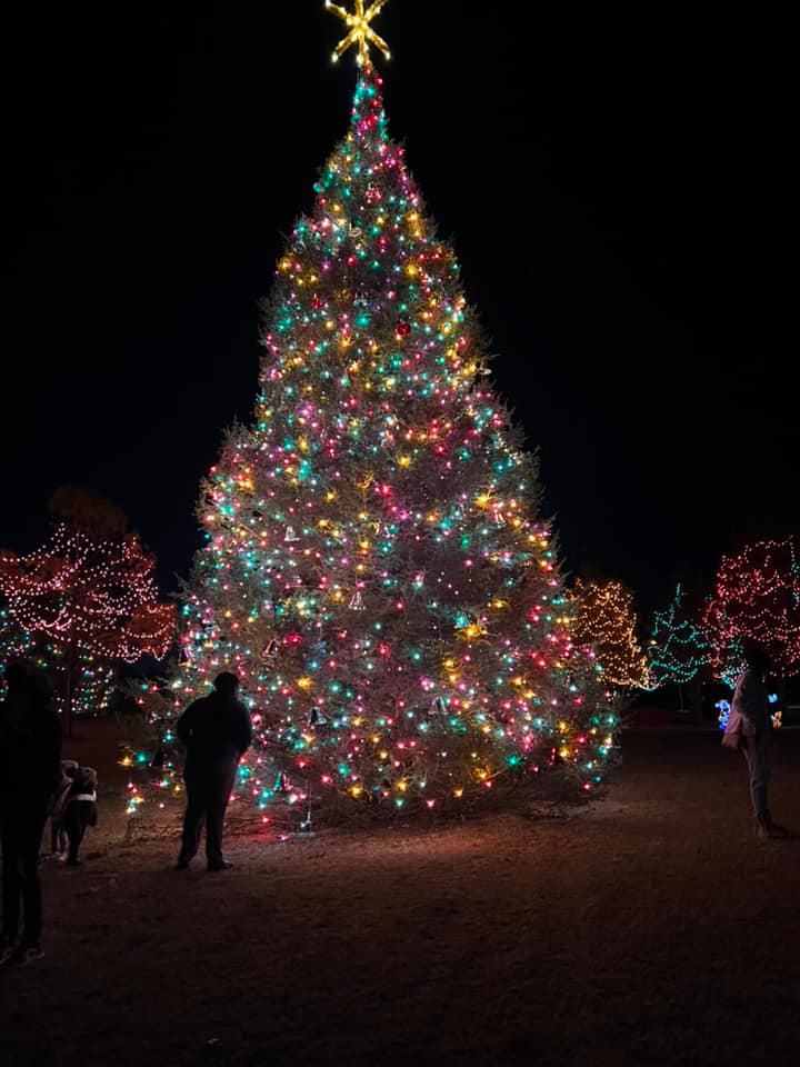 West Memphis Christmas Parade 2022 Photos: West Memphis Lit Up With Holiday Cheer – Fox13 News Memphis